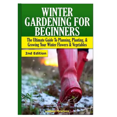 Winter Gardening for Beginners
