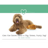 Alex the Brave Meets a Big, Brown, Furry Dog!