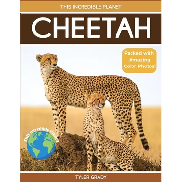 Cheetah: Fascinating Animal Facts for Kids