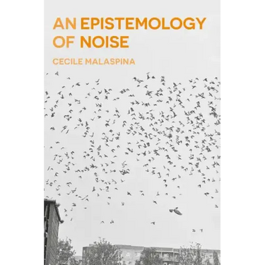 An Epistemology of Noise