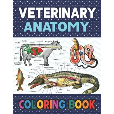 Veterinary Anatomy Coloring Book: Fun and Easy Veterinary Anatomy Coloring Book for Kids. Handbook of Veterinary Anesthesia. Dog Cat Horse Frog Bird A