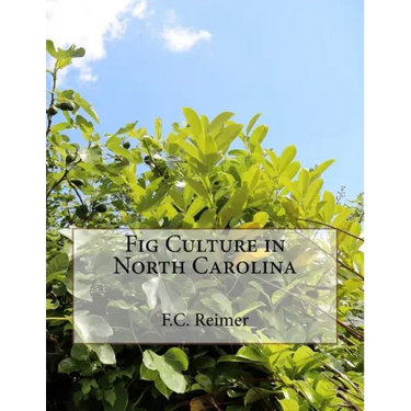 Fig Culture in North Carolina