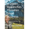 A Dozen Avalanches Threaten Small Business: Which One Will Bury You Alive?