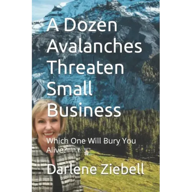 A Dozen Avalanches Threaten Small Business: Which One Will Bury You Alive?
