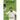 Kane Williamson: New Zealand Cricketer