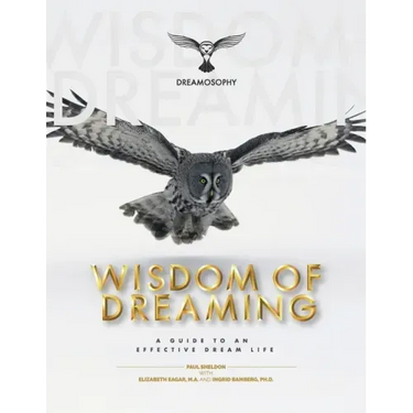 Wisdom of Dreaming: A Guide to an Effective Dream Life