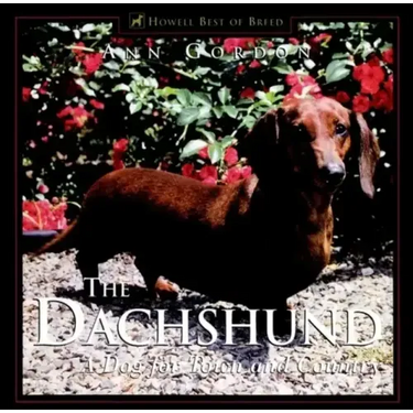 The Dachshund: A Dog for Town and Country