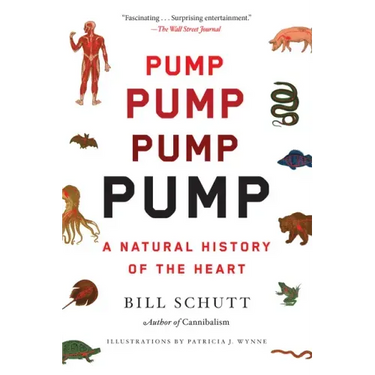 Pump: A Natural History of the Heart