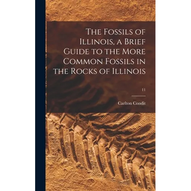 The Fossils of Illinois, a Brief Guide to the More Common Fossils in the Rocks of Illinois; 11