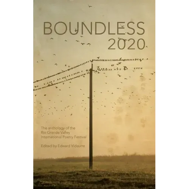 Boundless 2020: the official anthology of the Rio Grande Valley International Poetry Festival