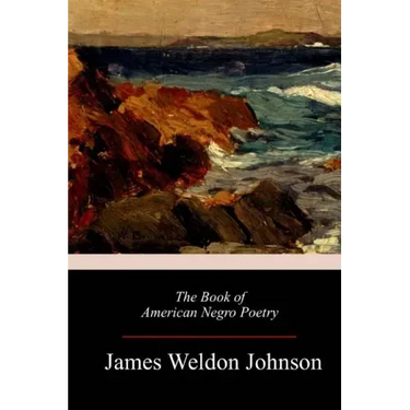 The Book of American Negro Poetry