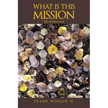 What Is This Mission: Drain Bamage