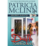 Death on Torrid Ave. (Secret Sleuth, Book 2)