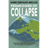 Pedagogies of Collapse: A Hopeful Education for the End of the World as We Know It