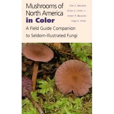 Mushrooms of North America in Color: A Field Guide Companion to Seldom-Illustrated Fungi