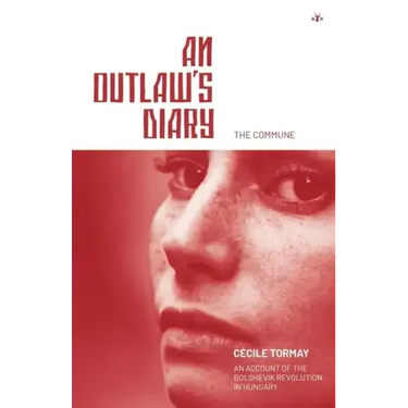 An Outlaw's Diary