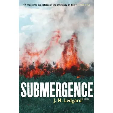 Submergence