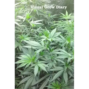 Visual Grow Diary