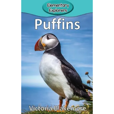 Puffins