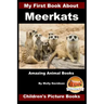 My First Book about Meerkats - Amazing Animal Books - Children's Picture Books