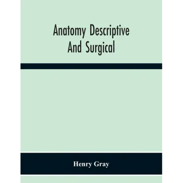 Anatomy Descriptive And Surgical