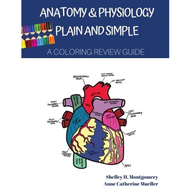 Anatomy & Physiology Plain and Simple: A Coloring Review Guide