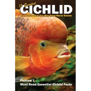 15 Essential Cichlid Fish Facts That You May Have Never Known: Fishlaw1 Must Read Essential Cichlid Facts