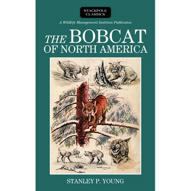 Bobcat of North America