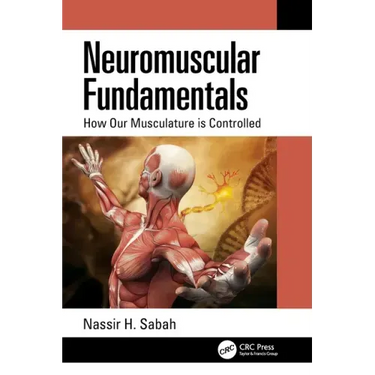 Neuromuscular Fundamentals: How Our Musculature is Controlled