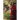 Songs of Dzogchen Trekchö: A detailed commentary on Shabkar's Flight of the Garuda