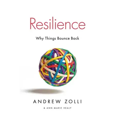 Resilience: Why Things Bounce Back