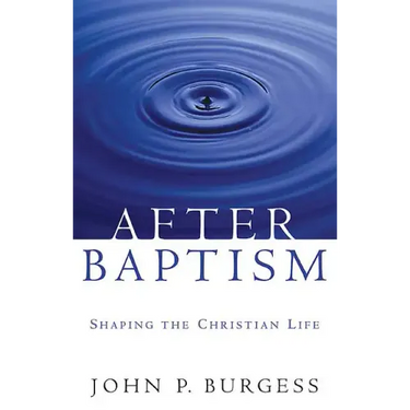 After Baptism: Shaping the Christian Life