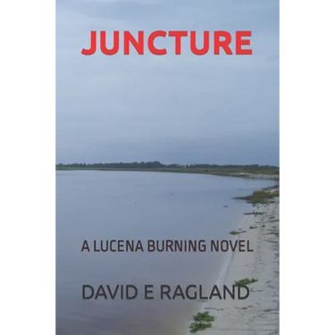 Juncture: A Lucena Burning Novel