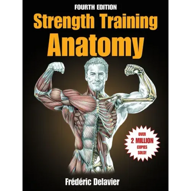 Strength Training Anatomy