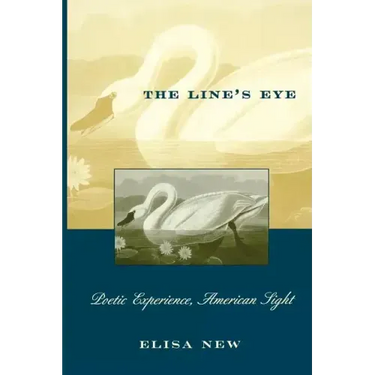 The Line's Eye: Poetic Experience, American Sight
