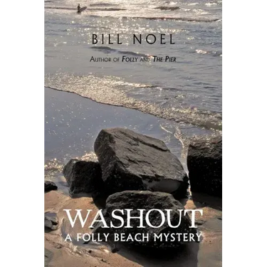 Washout: A Folly Beach Mystery