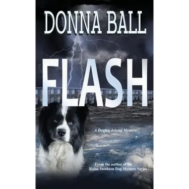 Flash
