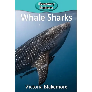 Whale Sharks