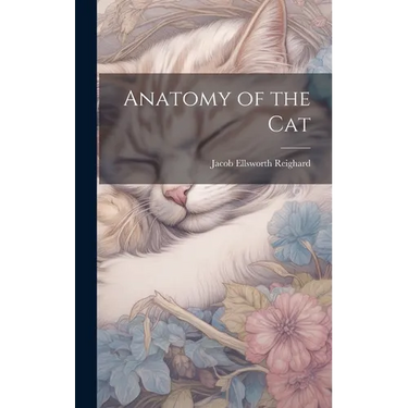 Anatomy of the Cat