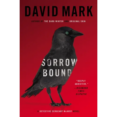 Sorrow Bound: A Detective Sergeant McAvoy Novel