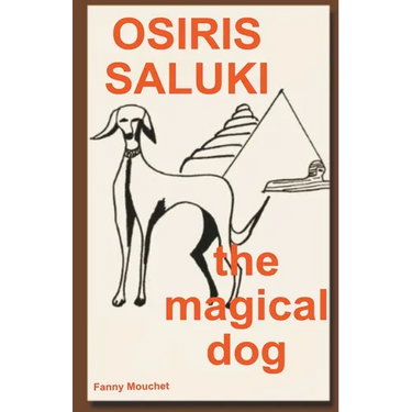 Osiris Saluki, the magical dog