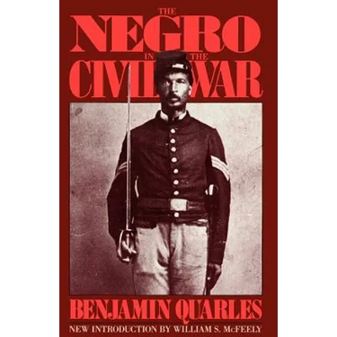 The Negro in the Civil War