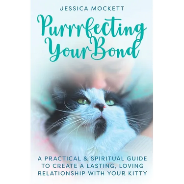Purrrfecting Your Bond