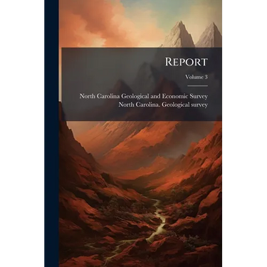 Report; Volume 3