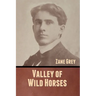 Valley of Wild Horses