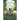 Dog Days in the City
