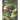 Mystery Magazine: June 2022