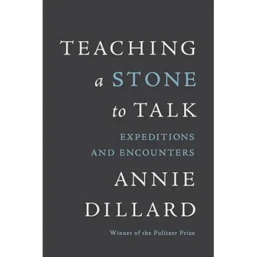 Teaching a Stone to Talk: Expeditions and Encounters