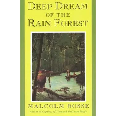 Deep Dream of the Rain Forest