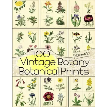 100 Vintage Botany Botanical Prints Volume 2